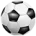 ICON THỂ THAO