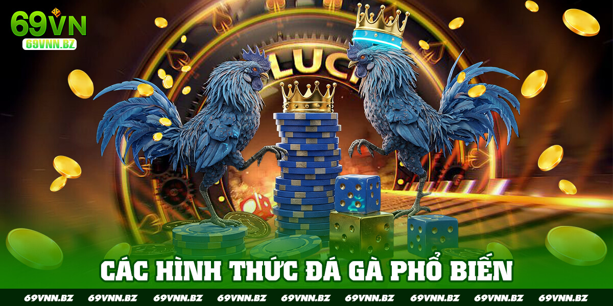 CÁC HÌNH THỨC ĐÁ GÀ PHỔ BIẾN