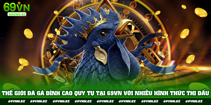 Thế giới đá gà đỉnh cao quy tụ tại 69VN với nhiều hình thức thi đấu