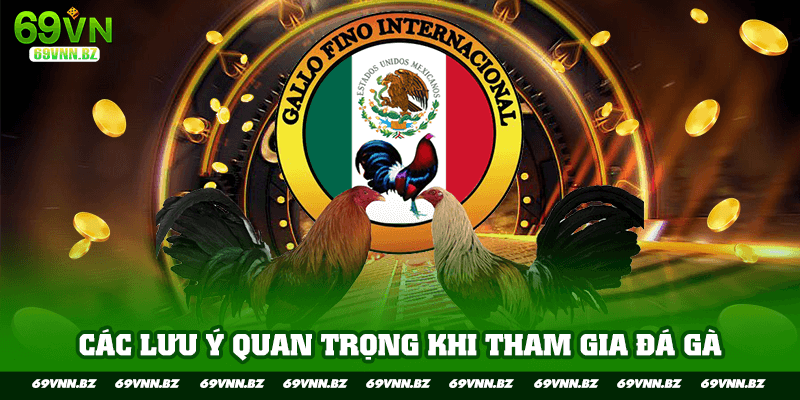 Bỏ túi bí quyết tránh sai lầm khi theo dõi đá gà 