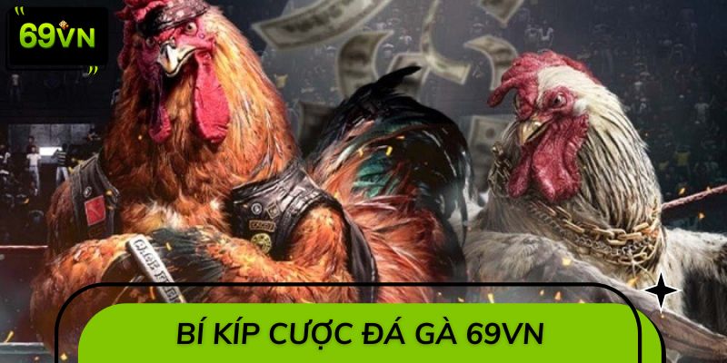 Bộ bí kíp bất bại khi cược đá gà 69VN