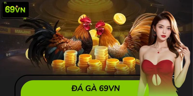 Đá Gà 69VN – Đấu Trường Rực Lửa, Kịch Tính Từng Giây