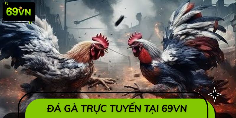 Tổng quan về hình thức đá gà trực tuyến tại 69VN